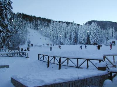 Studios-Villa Park Sv Borovets Buitenkant foto